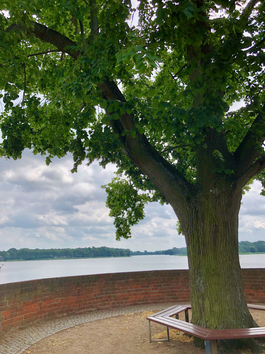 Ruppiner See