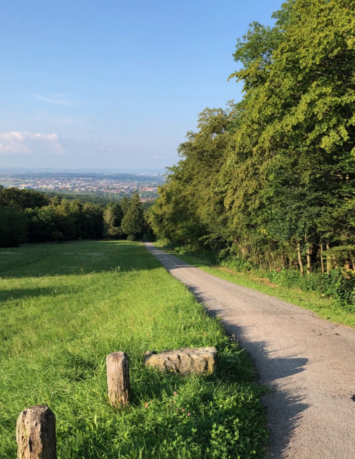 Solitude-Allee