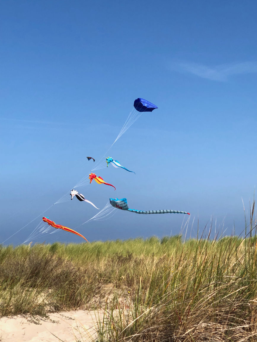 Drachen am Warnemünder Strand